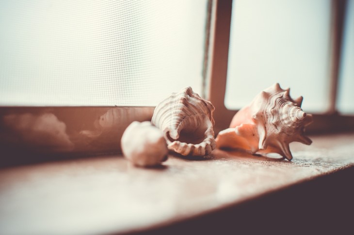 Tired of yellow stains on your windowsill? A cheap remedy will help you out – you can find it in your medicine cabinet windowsill