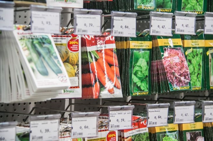 Plant tiny seeds in a flash: the most convenient way to sow carrots and dill – a clever trick of summer residents Seeds