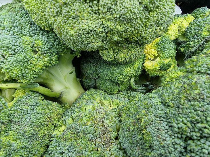 How to Lose Weight on Broccoli: 5 Day Diet broccoli