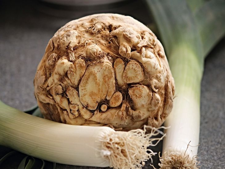 What are the health benefits of celery root: few people know about it celery