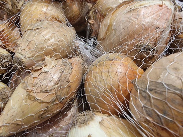 Don't just collect for Easter: the benefits of onion peels for seedlings Onion