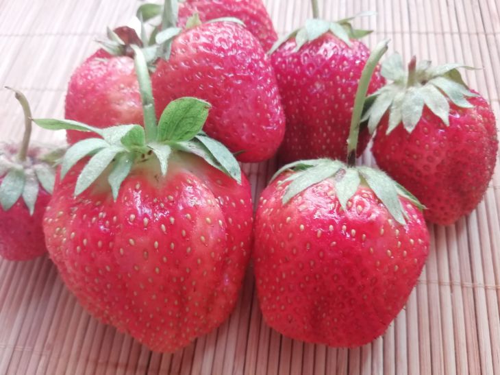 Women Will Like It: Strawberry and Cheese Salad - Original Recipe berries