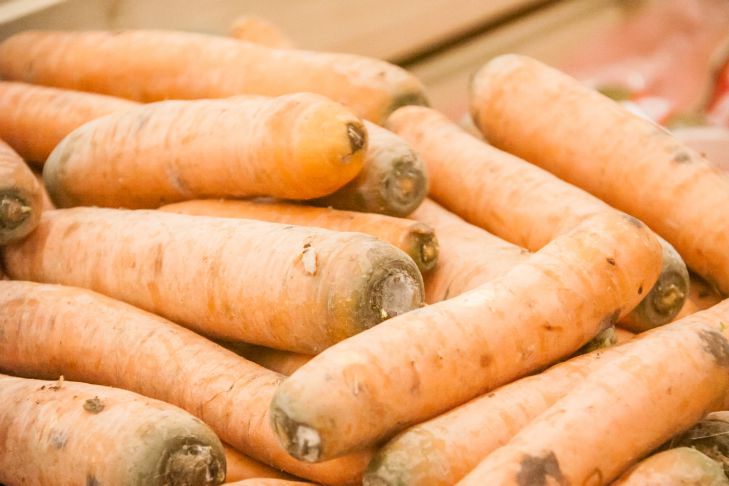 Growing carrots using seedlings: gardeners reveal their secrets carrot