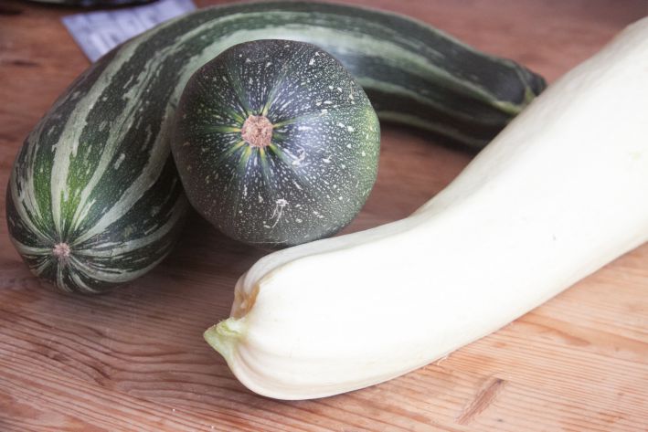 How to Grow a Big Zucchini Crop: Simple Tips That All Summer Residents Are Looking For zucchini