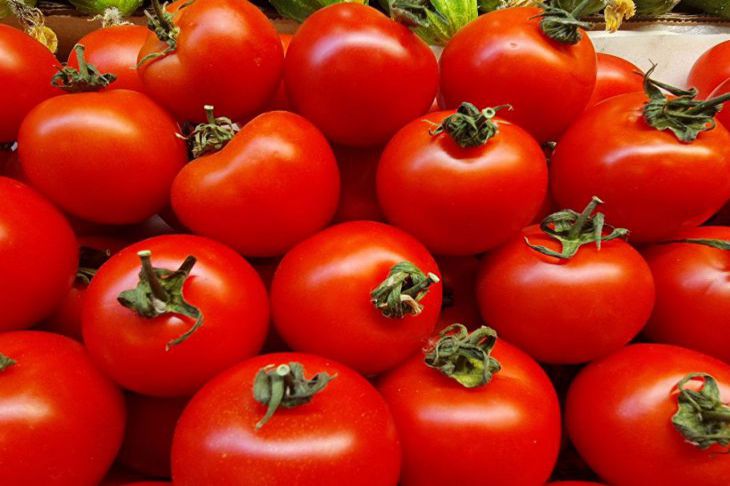 What are the health benefits of tomatoes: what will happen to the body if you start eating them every day tomato
