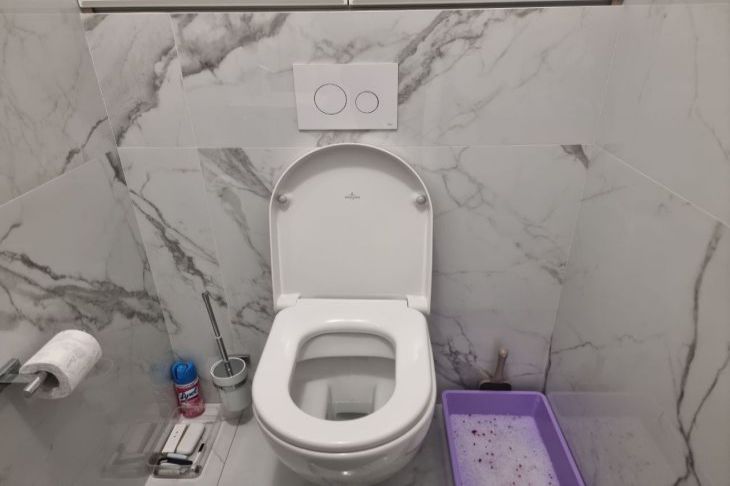 What Happens If You Don't Close the Toilet Lid When Flushed: The Consequences Will Be Unpleasant toilet