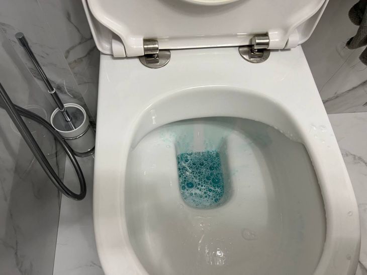 No More Unpleasant Odor: 2 Penny Toilet Cleaning Products - Your Toilet Will Always Be Fresh toilet