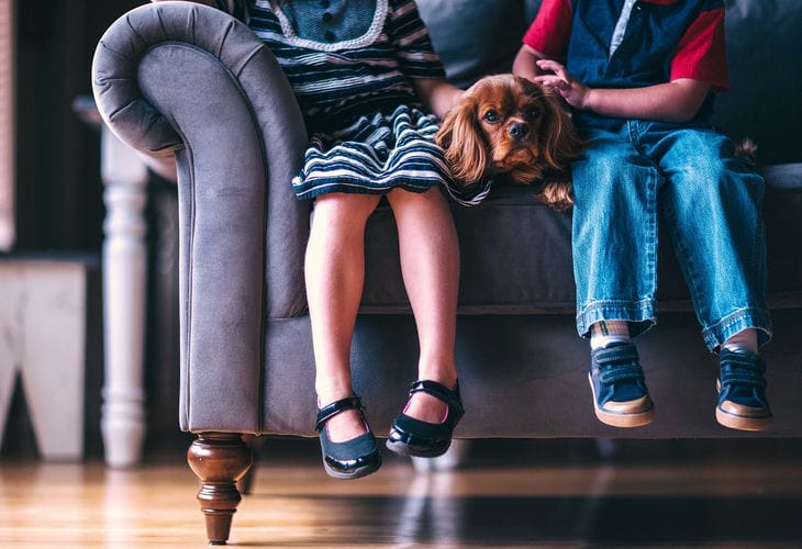 How to negotiate with a child: no more tears and tantrums children