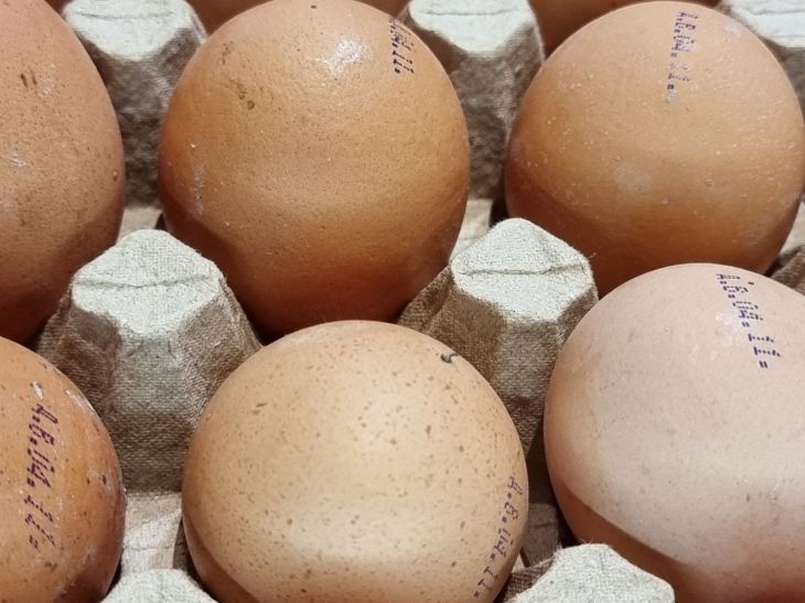 How to Make Inexpensive Fertilizer for Flowers: Eggshells Will Help eggs