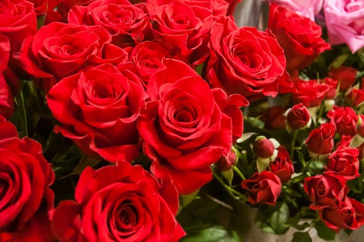 Olga Buzova accidentally revealed the name of her boyfriend Roses