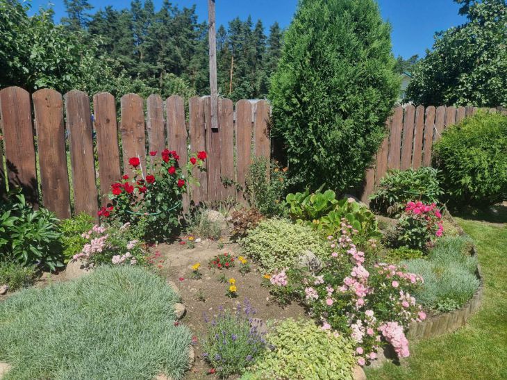 Cardiac arrest: Malysheva revealed what poisonous monsters can lurk in the garden and vegetable garden Flowers