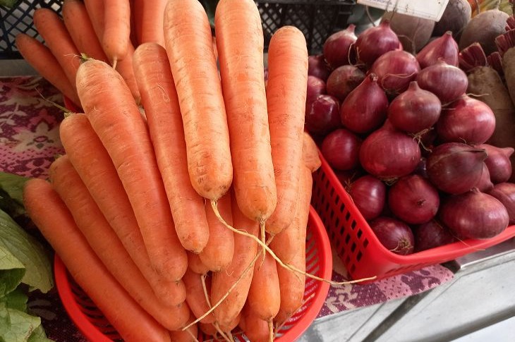 Why brown spots appear on carrot tops: an agronomist explains carrots