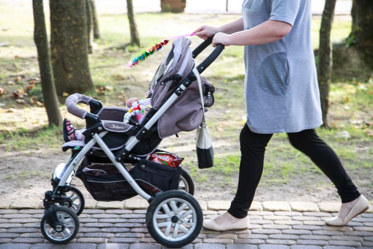Golikova reported an increase in the number of large families in the Russian Federation stroller, person