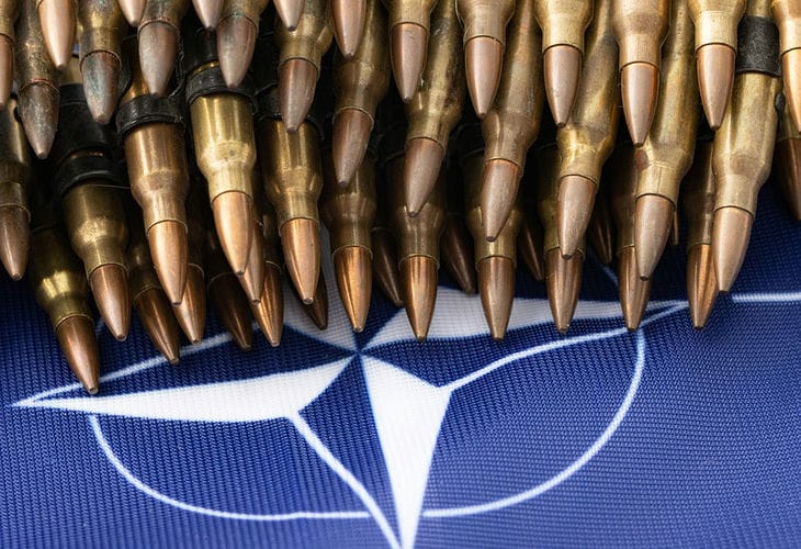 Terrorist organization: European Parliament criticizes NATO activities nato