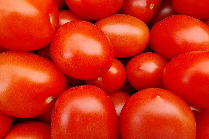 How to Spray Tomatoes for Abundant Fruiting: Effective Means and Methods tomatoes