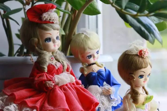 Unregistered private camp where children were poisoned closed in Kirov region toys
