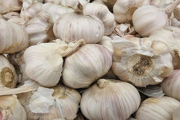 How to Cleanse Your Body of Toxins with Food: 10 Products garlic