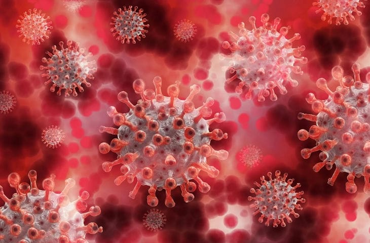 WHO declares monkeypox epidemic a public health emergency coronavirus