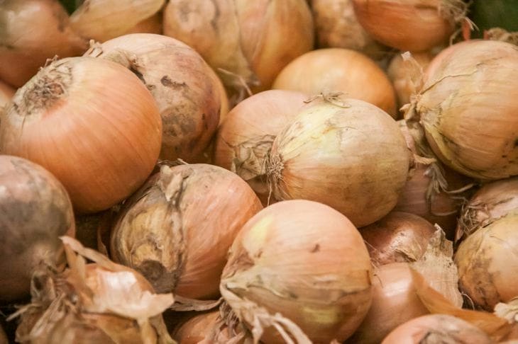 How to treat onions from white rot: advice from experienced gardeners and agronomists onion