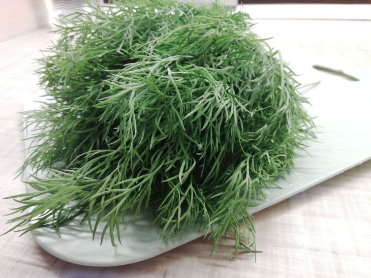 How to Restore Freshness to Wilted Dill in No Time: A Lifehack from a Professional bunch