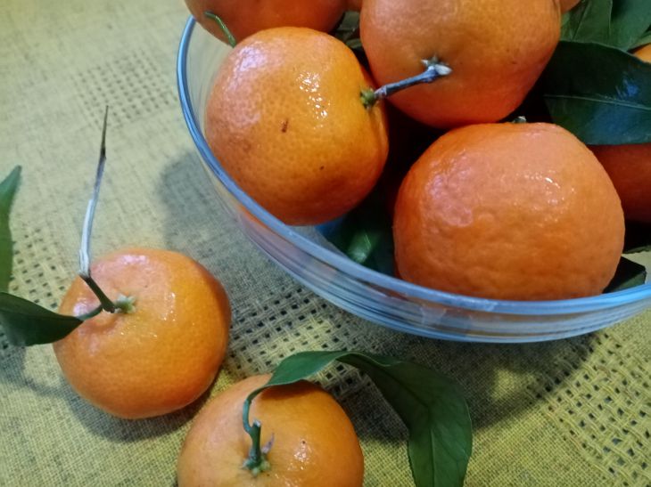 Possible shortage of tangerines in Russia reported Tangerines