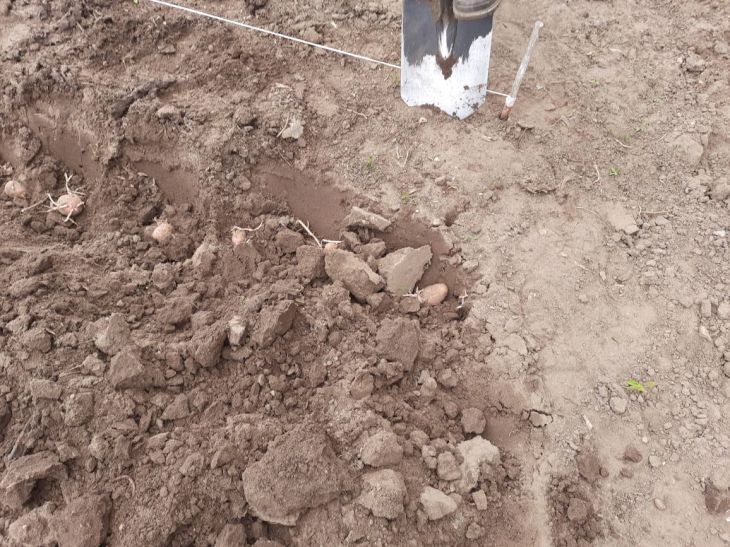 Treasure Hunter on the Trail of Nazi Stolen Treasures Earth