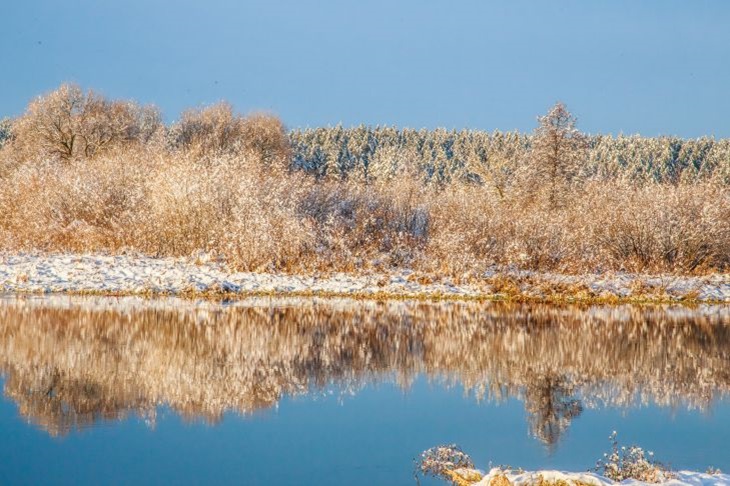 What holiday is today: December 15, 2024 - events and signs of Avvakum's day Nature