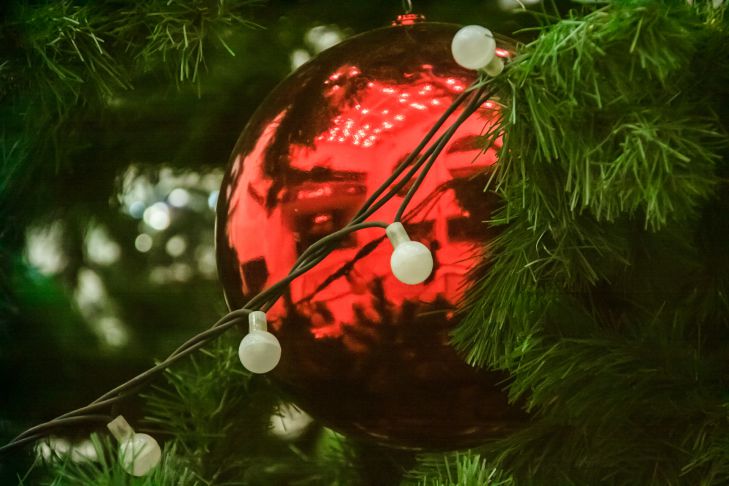 What dishes should not be cooked for the New Year 2025: advice from astrologers Christmas tree