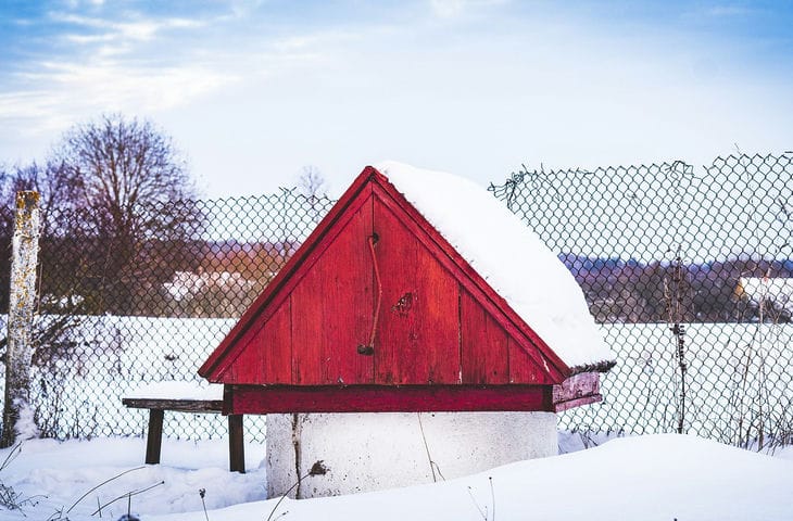 Folk omens for December 9, 2024: what does the water in the well say well