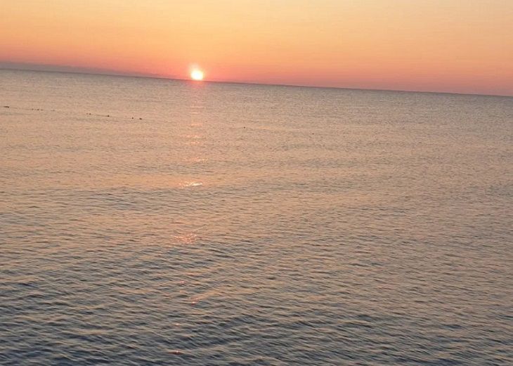 Tens of kilometers: oil products washed ashore in Kuban sea