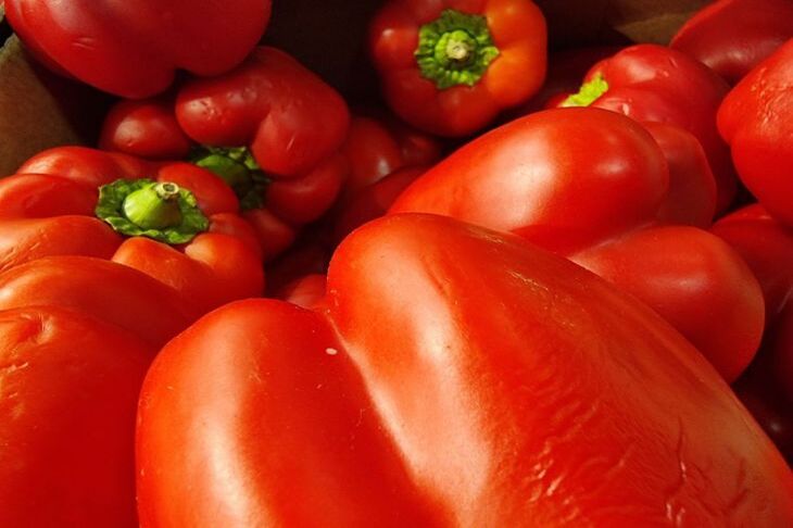 What you shouldn't plant next to bell peppers: treacherous neighbors of vegetable beds pepper