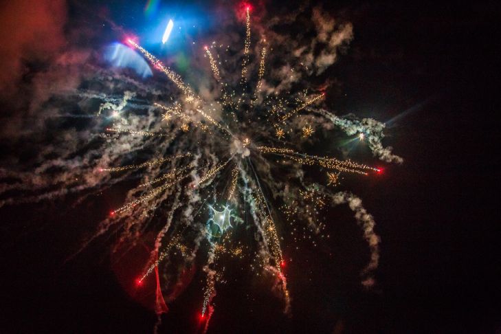 How to Protect Your Dog from Fireworks: A Note for Pet Owners During the New Year Holidays firework